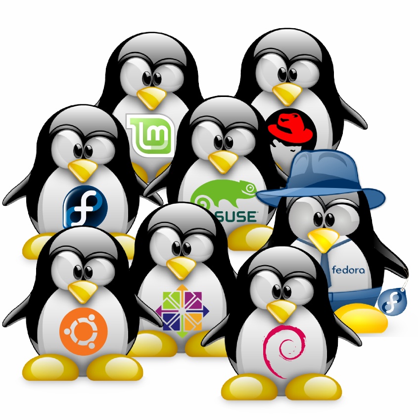 linuxservices linux_server_support_installation