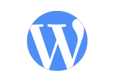 wordpress_img technologies