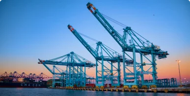 Media & Entertainment